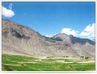 Nubra Balley, Ladakh