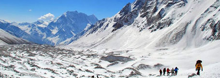 Ladakh Festival