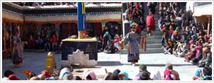 Ladakh Festival