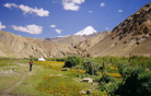 Markha Valley, Ladakh-Leh Tour Packages