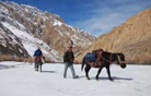 Rumtse-Tsomoriri Tour, Ladakh-Leh Tour Packages