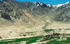 Sabu Nubra, Ladakh-Leh Tour Packages