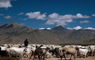 Tingmosgam Tour, Ladakh-Leh Tour Packages